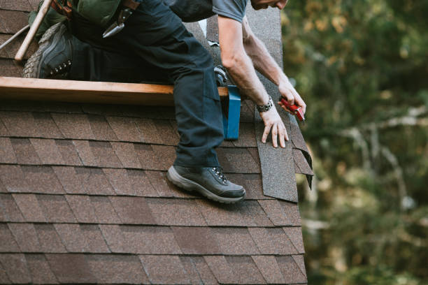 Best Roof Maintenance and Cleaning  in Brownsville, OR